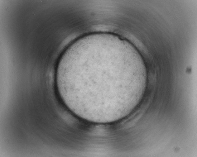 X0000103310064200809191927