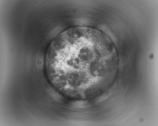 X0000103310065200809191927