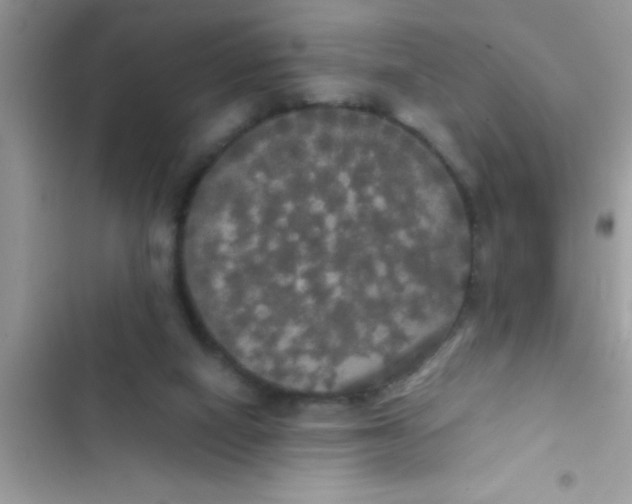 X0000103310066200809191927