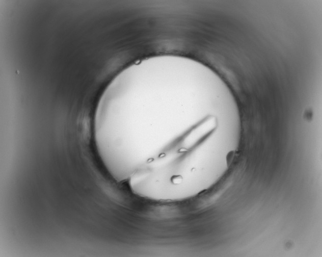 X0000103310067200809191927