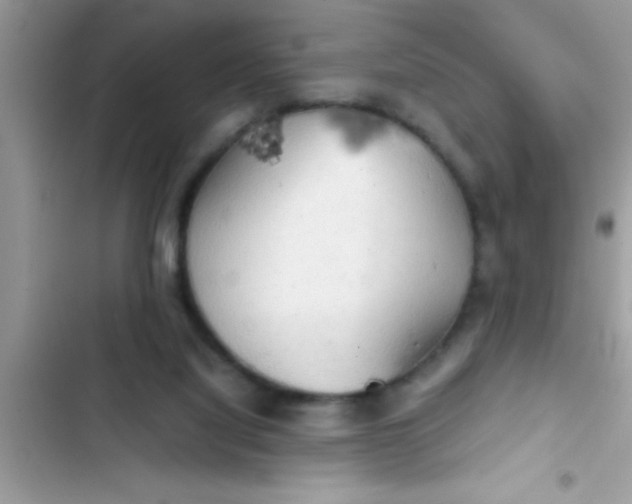 X0000103310068200809191927