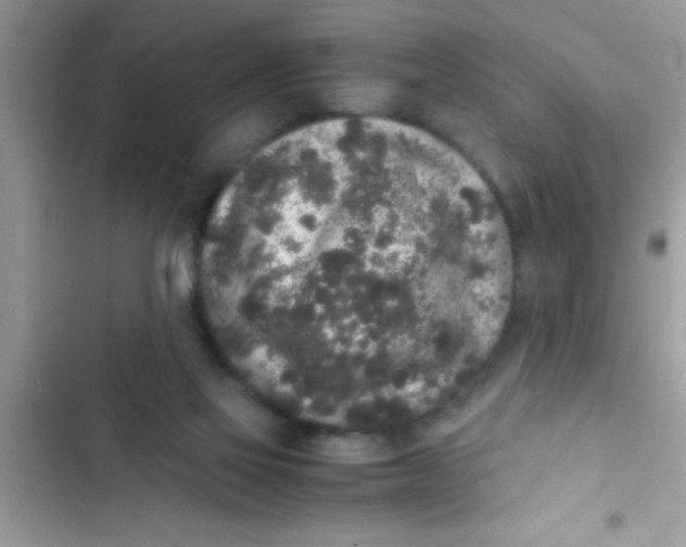 X0000103310069200809191927