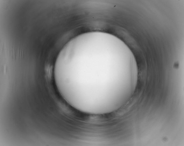 X0000103310070200809191927