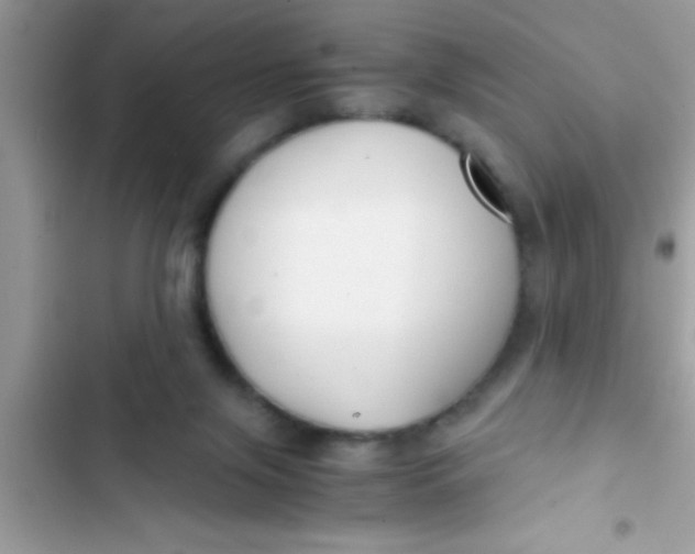 X0000103310071200809191927