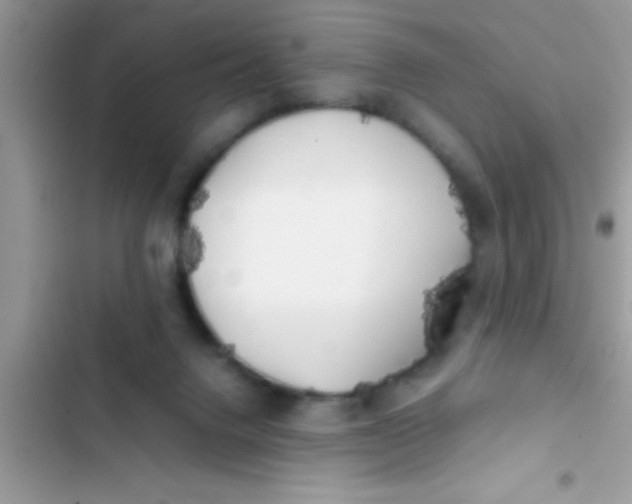 X0000103310072200809191927