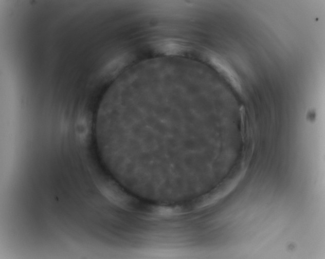 X0000103310073200809191927