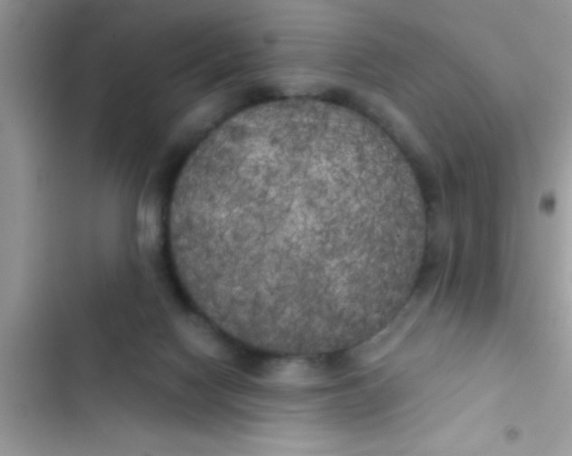 X0000103310074200809191927