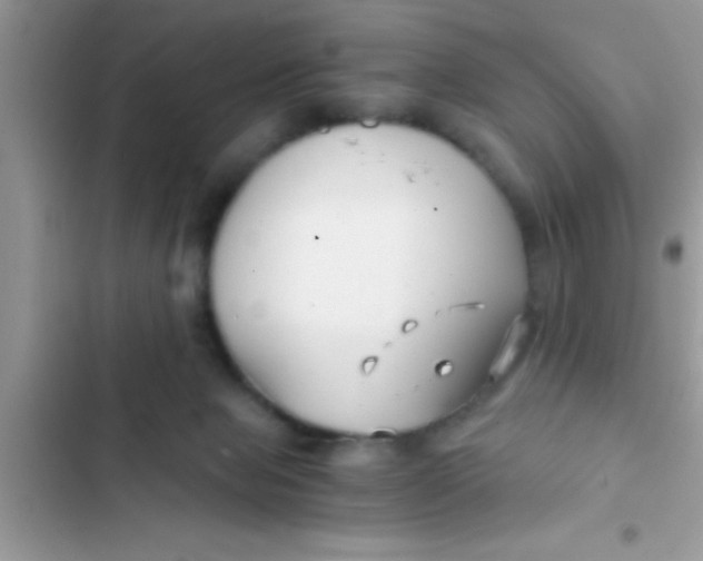 X0000103310077200809191927