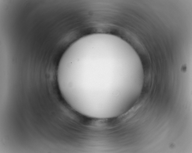 X0000103310078200809191927