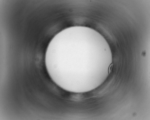 X0000103310079200809191927