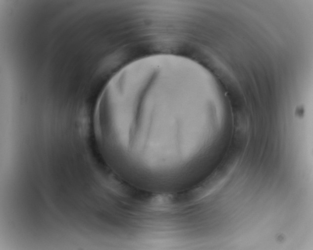 X0000103310080200809191927