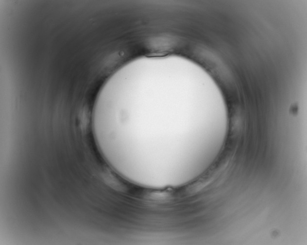 X0000103310081200809191927