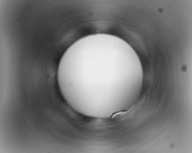 X0000103310082200809191927