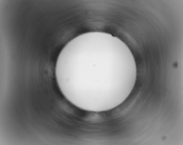 X0000103310083200809191927