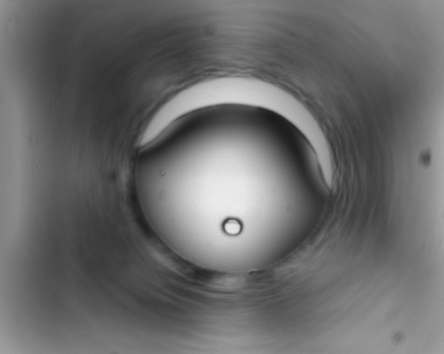 X0000103310084200809191928