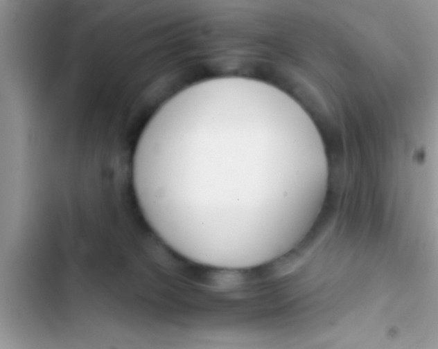 X0000103310085200809191928