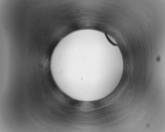 X0000103310087200809191928