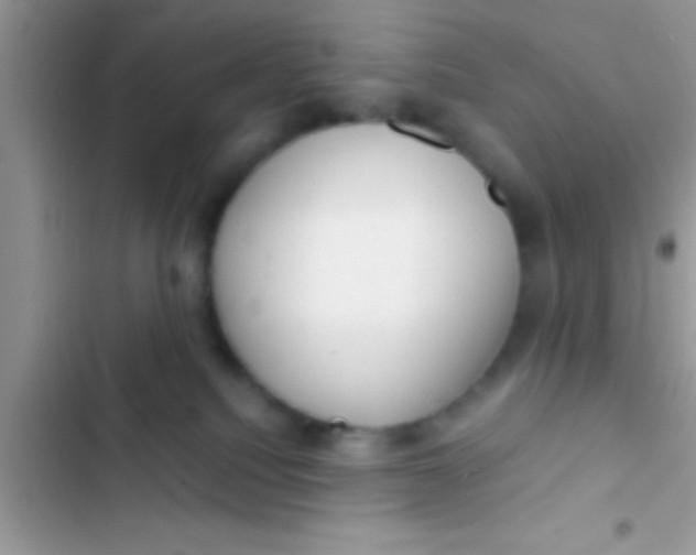 X0000103310088200809191928