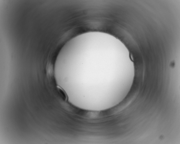 X0000103310089200809191928