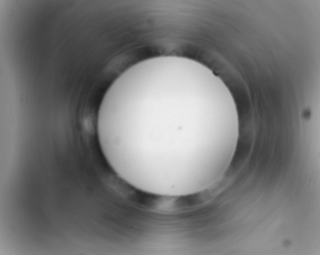 X0000103310090200809191928