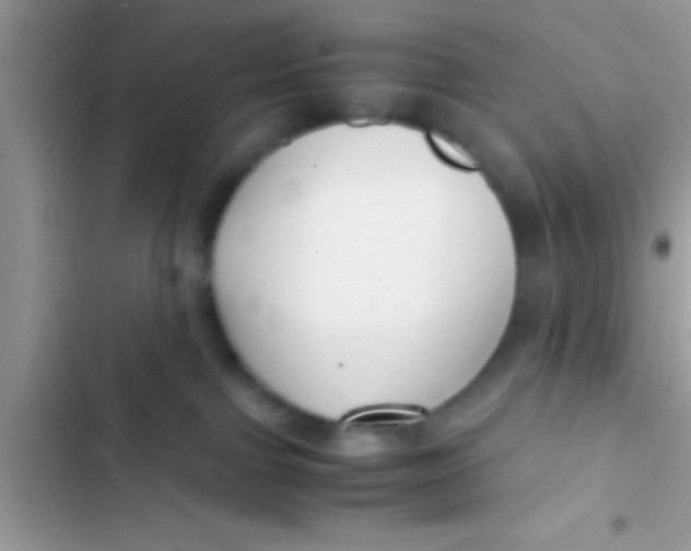 X0000103310091200809191928