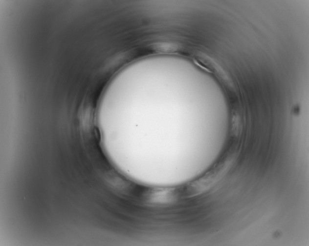 X0000103310093200809191928