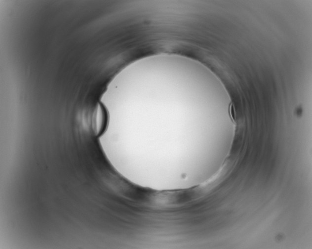 X0000103310094200809191928