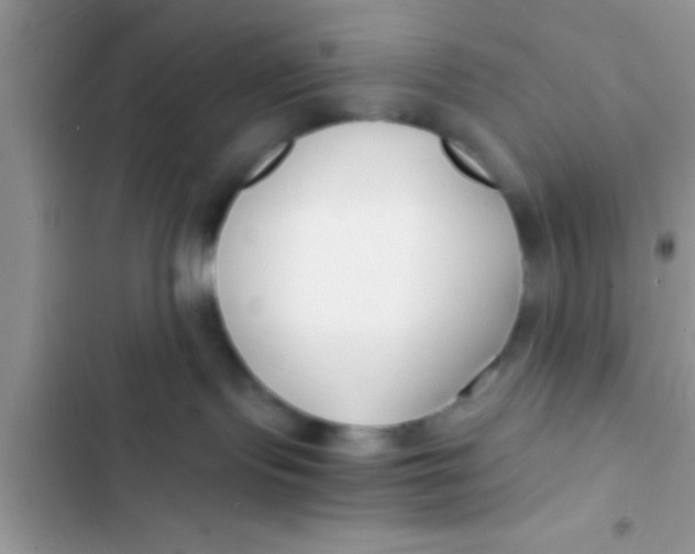 X0000103310095200809191928