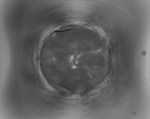 X0000103310097200809191927