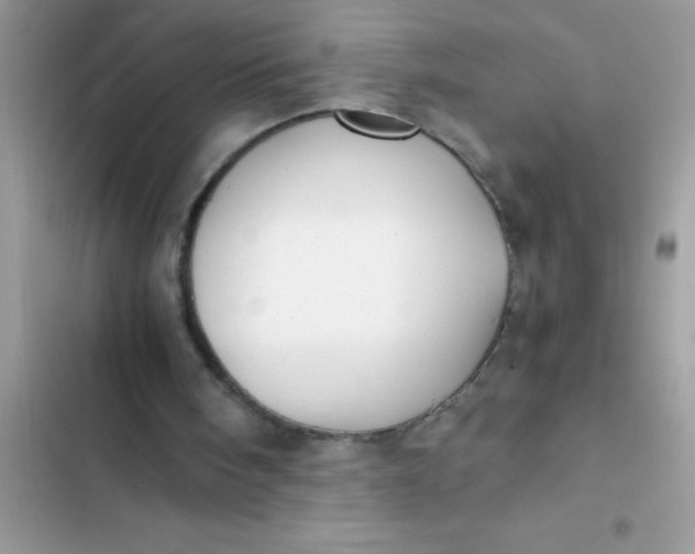 X0000103310098200809191927