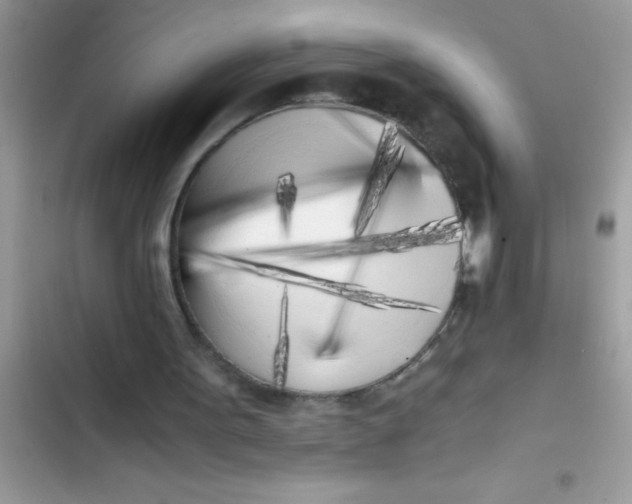 X0000103310099200809191927