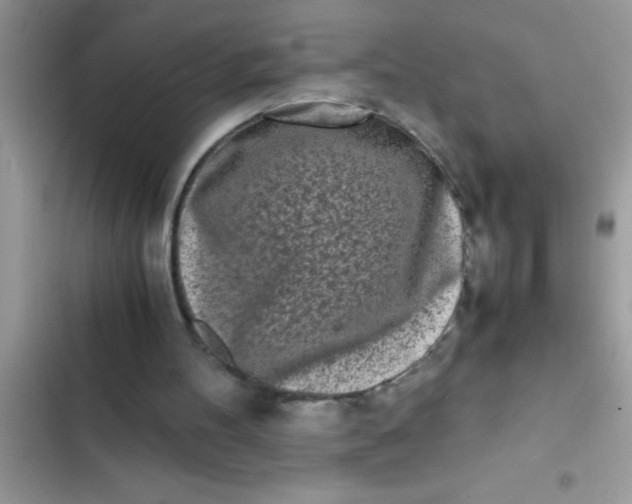 X0000103310100200809191927