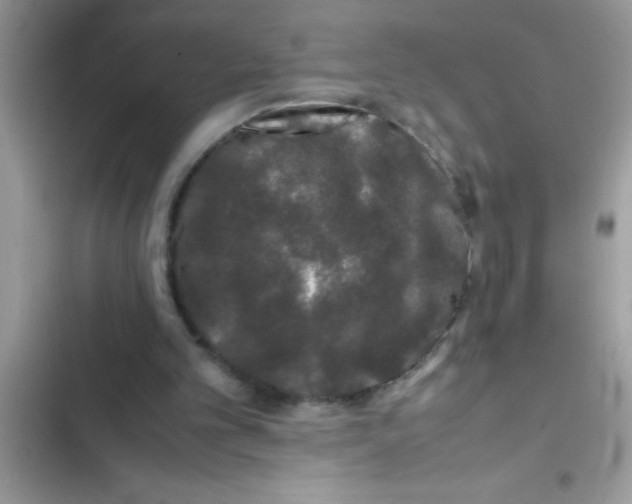 X0000103310101200809191927