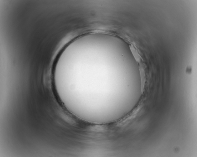 X0000103310102200809191927