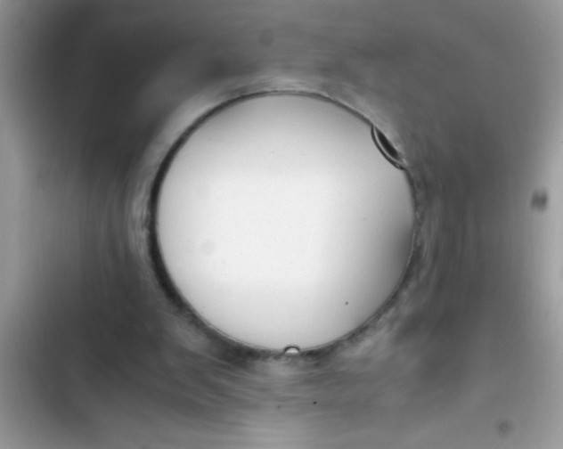 X0000103310103200809191927