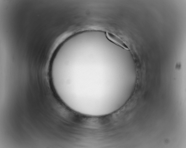 X0000103310104200809191927