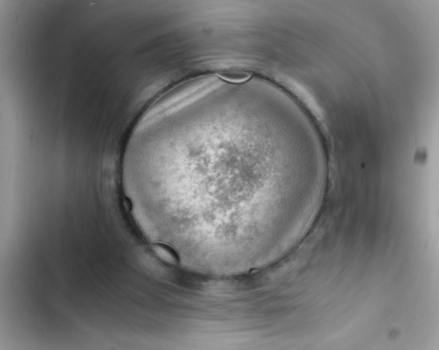 X0000103310105200809191927