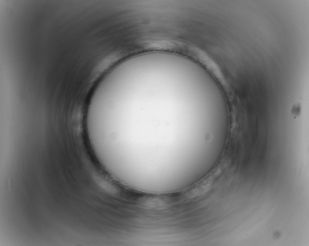 X0000103310106200809191927