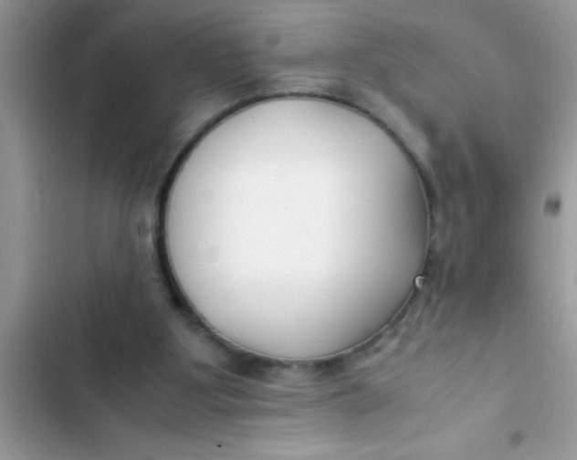 X0000103310107200809191927