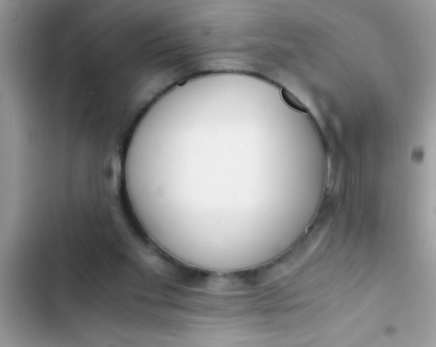 X0000103310109200809191927