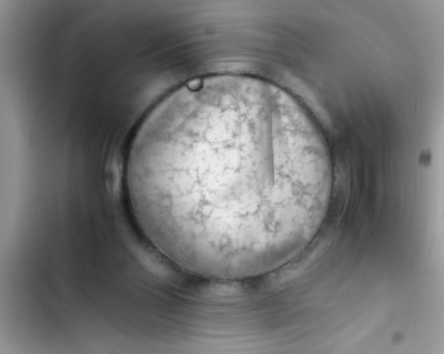 X0000103310110200809191927