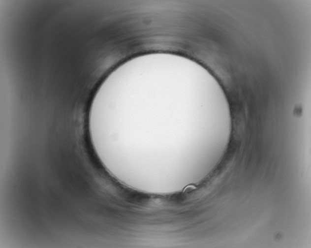 X0000103310111200809191927