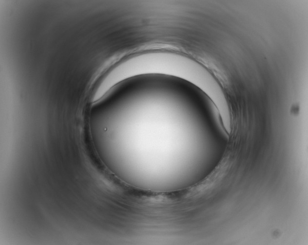 X0000103310112200809191927