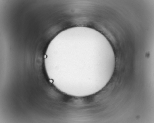 X0000103310113200809191927