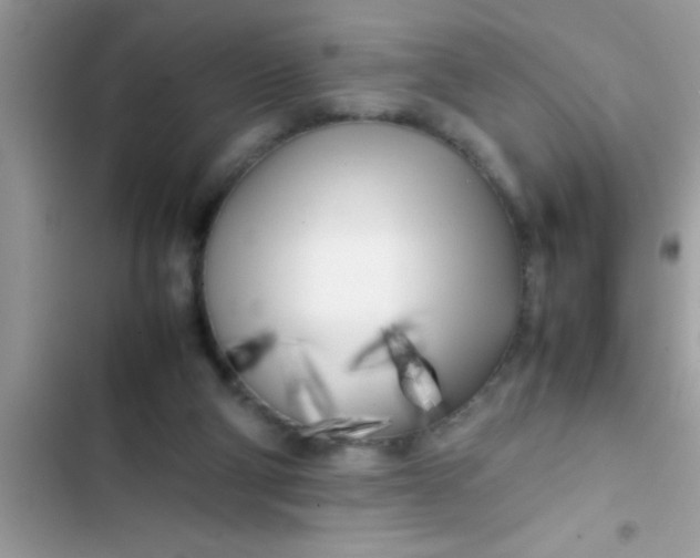 X0000103310114200809191927