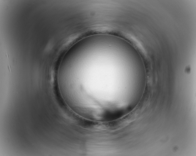 X0000103310115200809191927