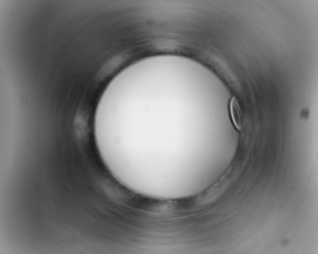 X0000103310116200809191927