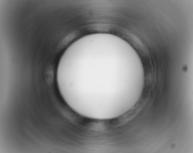 X0000103310120200809191927