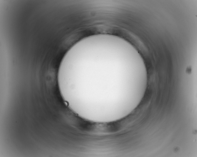 X0000103310121200809191927