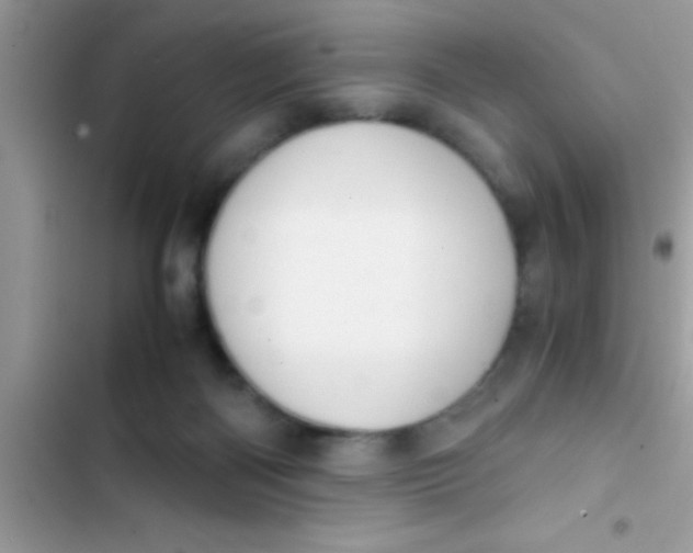 X0000103310122200809191927